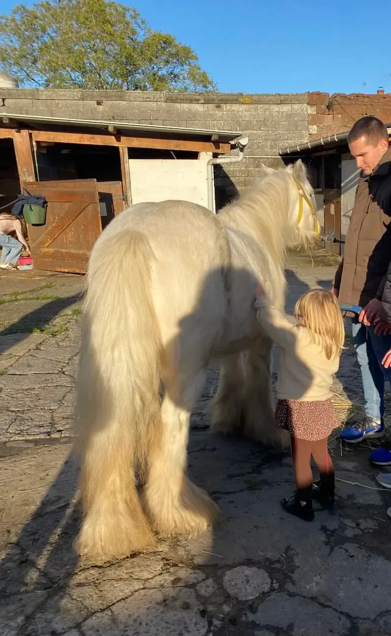 Le poney de La Main Copine au centre équestre de Neuville-en-Ferrain